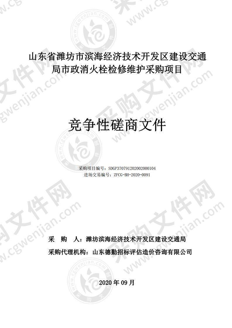 山东省潍坊市滨海经济技术开发区建设交通局市政消火栓检修维护采购项目