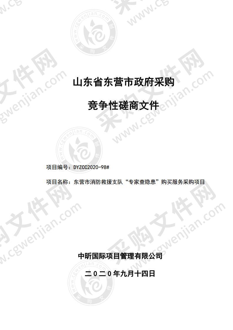 东营市消防救援支队“专家查隐患”购买服务采购项目