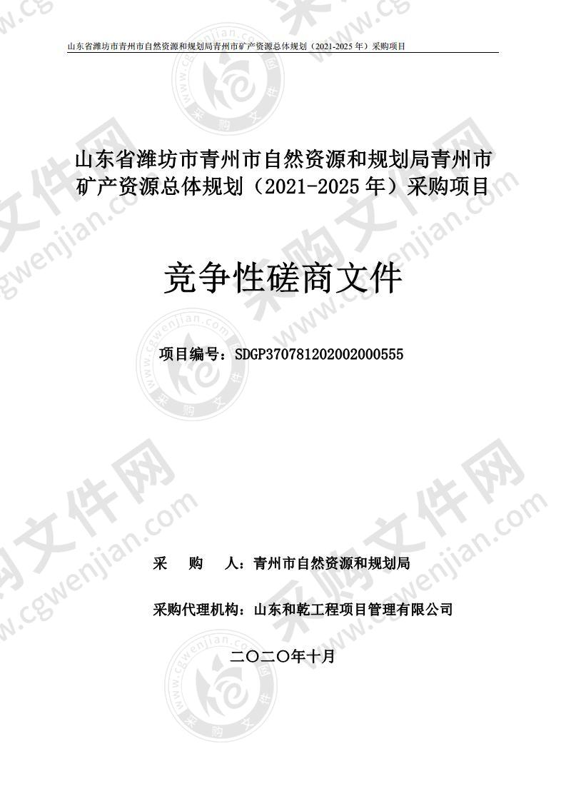 山东省潍坊市青州市自然资源和规划局青州市矿产资源总体规划（2021-2025年）采购项目