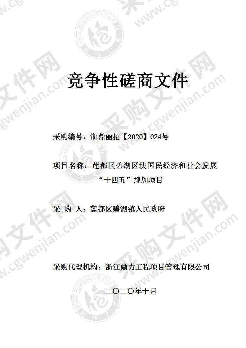 莲都区碧湖区块国民经济和社会发展“十四五”规划项目