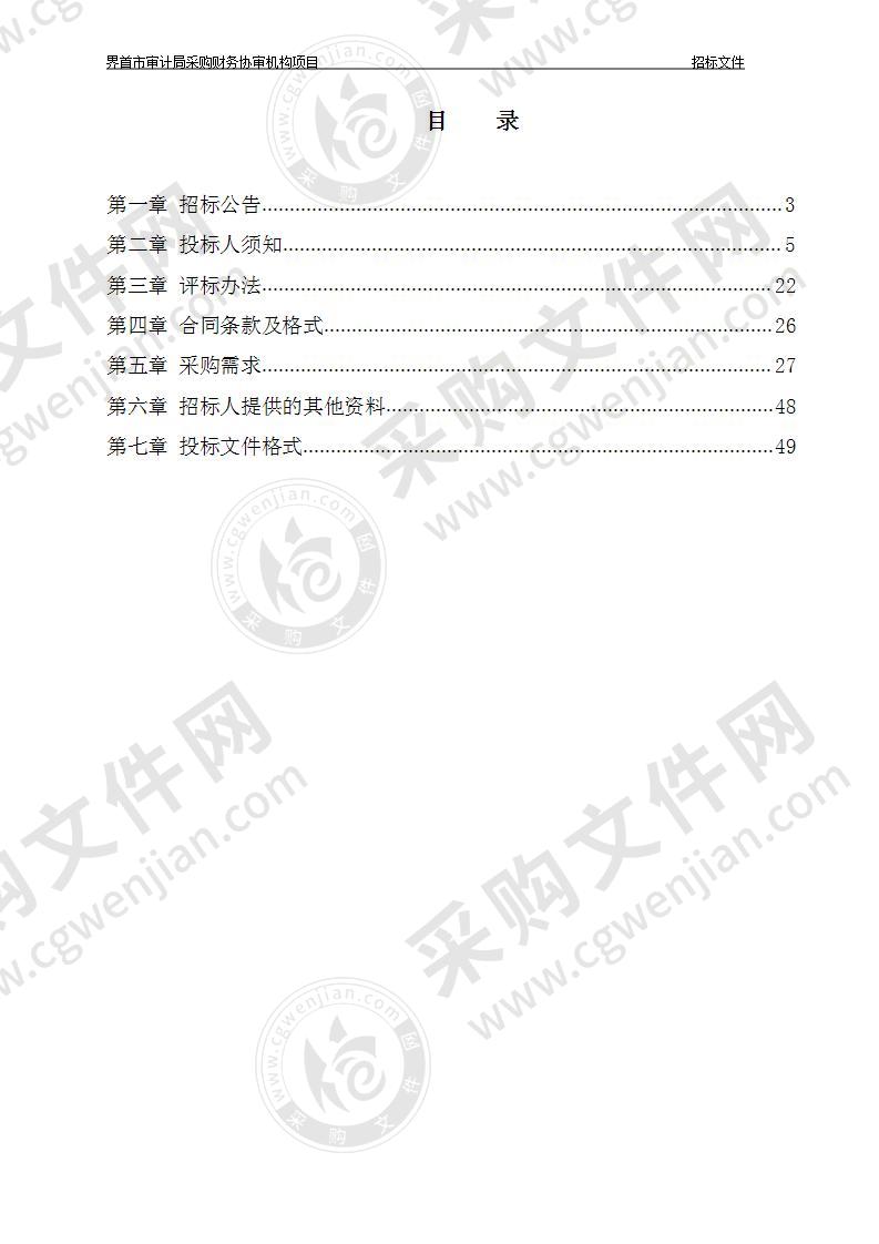 界首市审计局采购财务协审机构项目