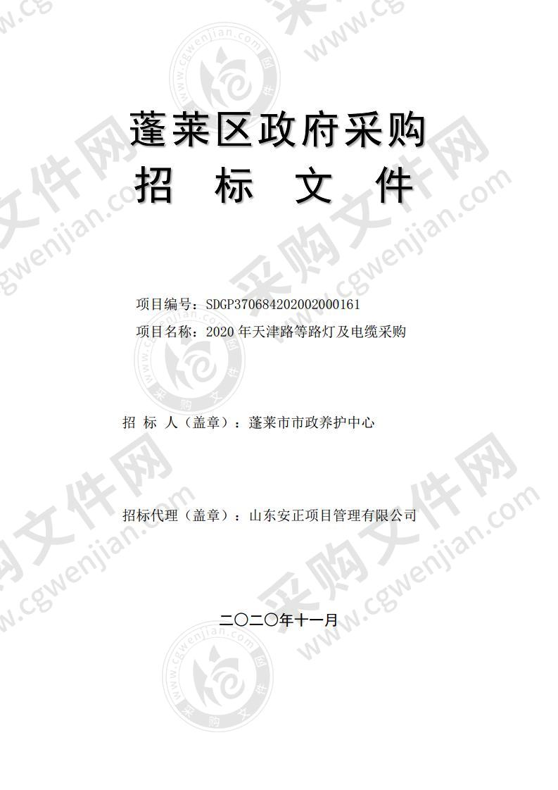 蓬莱市市政养护中心2020年天津路等路灯及电缆采购