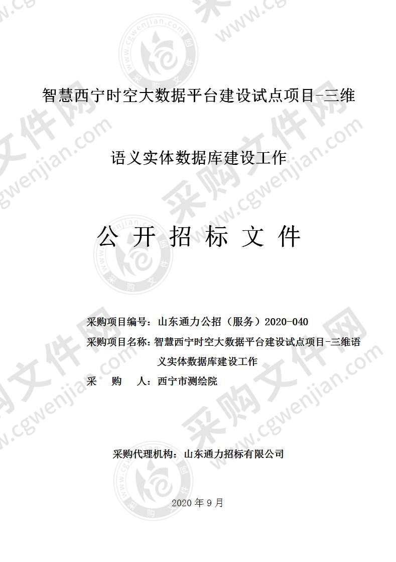 智慧西宁时空大数据平台建设试点项目-三维语义实体数据库建设工作