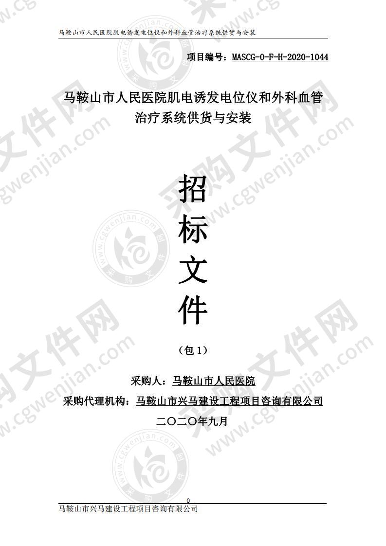 马鞍山市人民医院肌电诱发电位仪和外科血管治疗系统供货与安装（第一包）