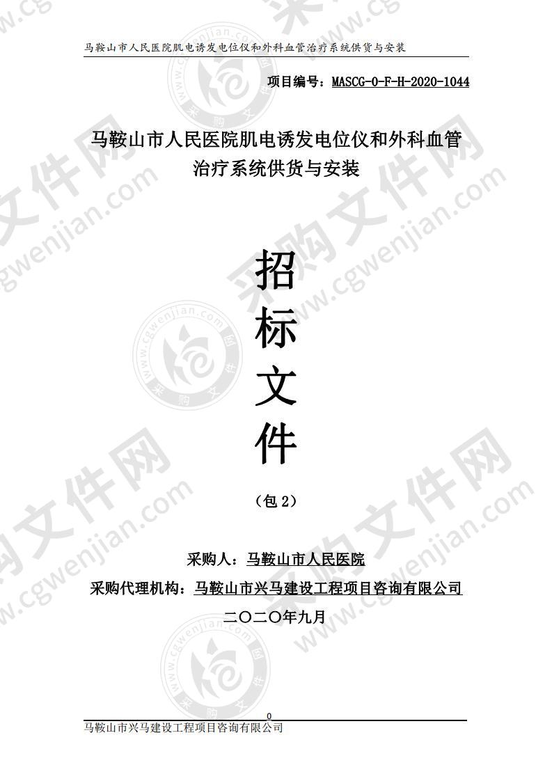 马鞍山市人民医院肌电诱发电位仪和外科血管治疗系统供货与安装（第二包）