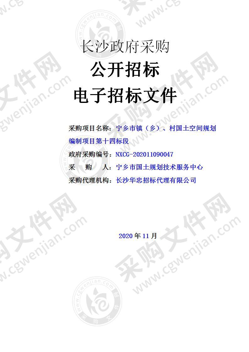 宁乡市镇（乡）、村国土空间规划编制项目（第十四标段）