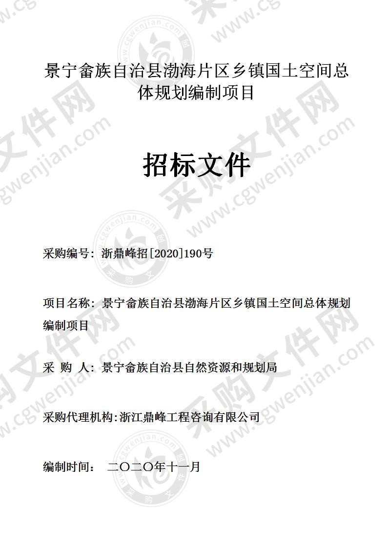 景宁畲族自治县渤海片区乡镇国土空间总体规划编制项目