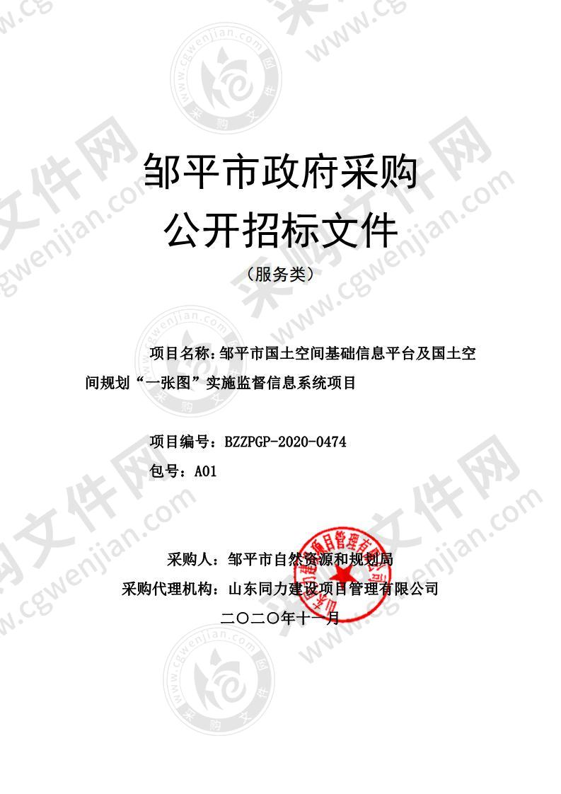 邹平市国土空间基础信息平台及国土空间规划“一张图”实施监督信息系统项目（A01包）