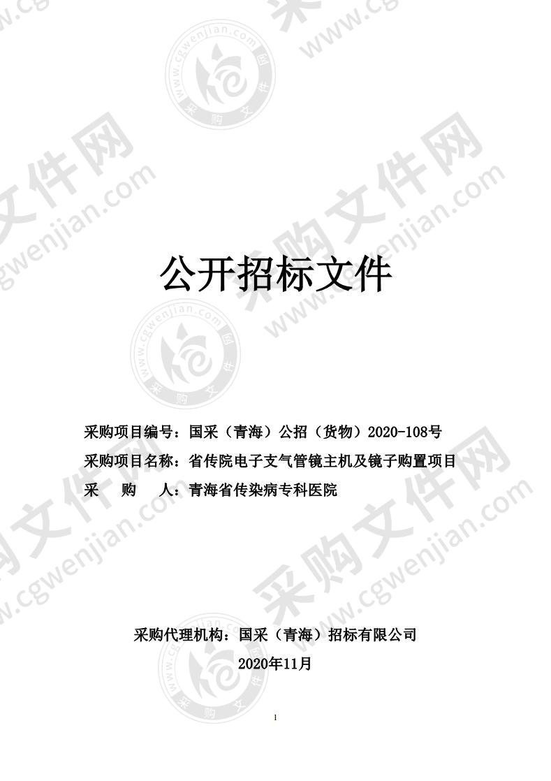 省传院电子支气管镜主机及镜子购置项目