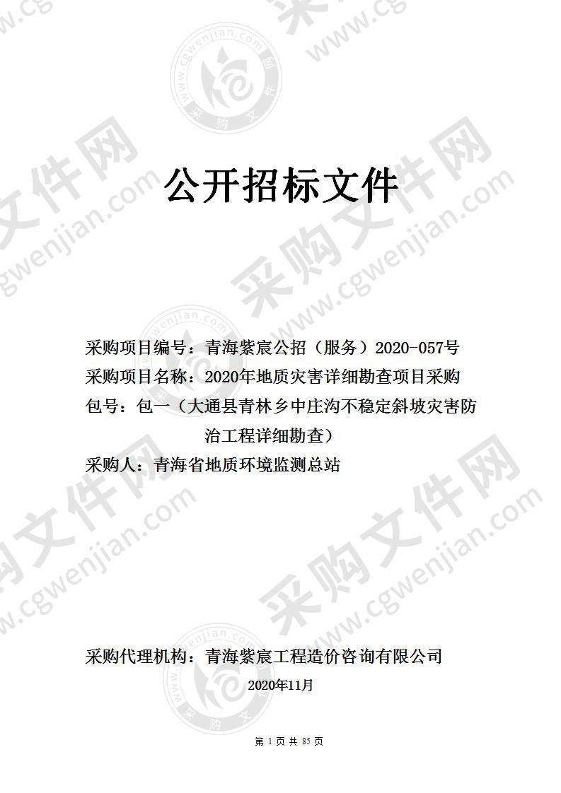 2020年地质灾害详细勘查项目采购（包一（大通县青林乡中庄沟不稳定斜坡灾害防治工程详细勘查））