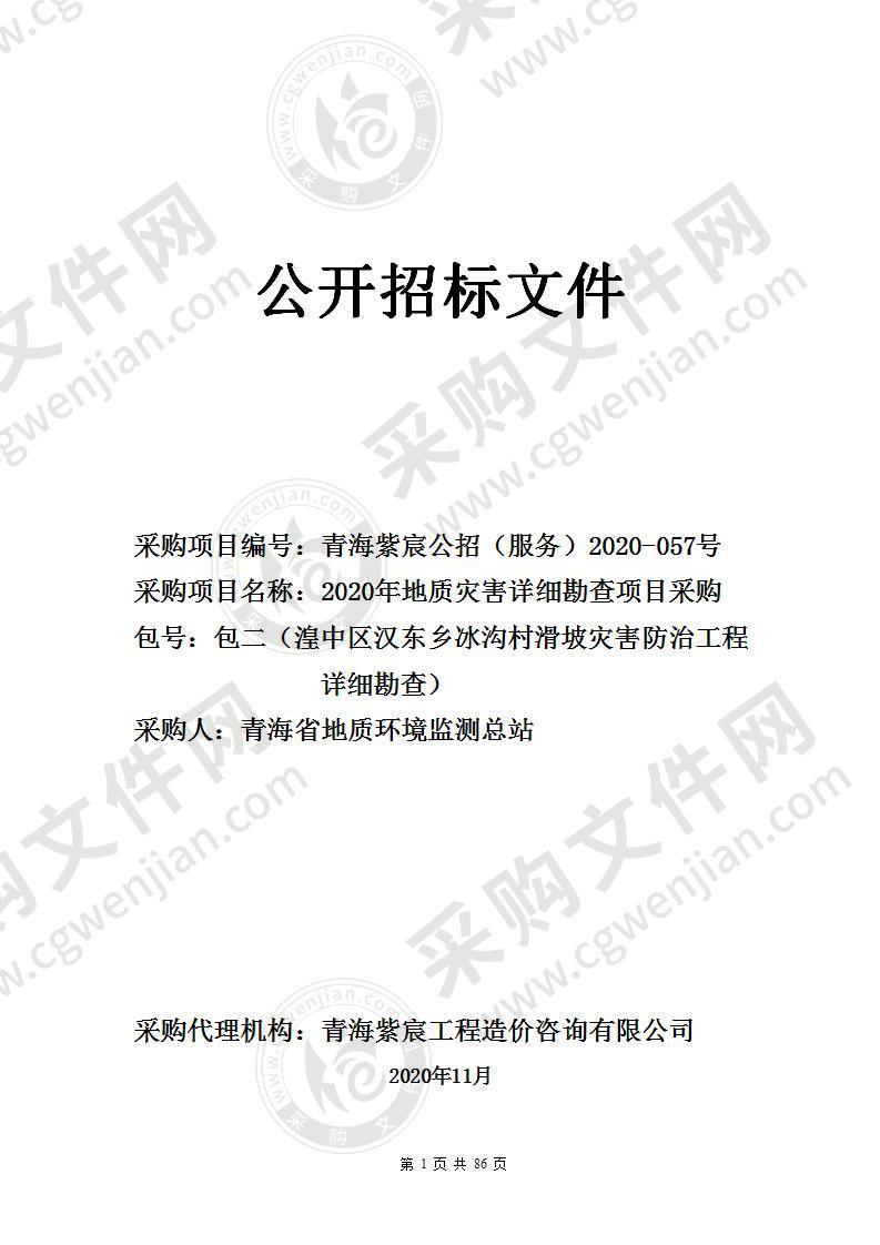 2020年地质灾害详细勘查项目采购（包二（湟中区汉东乡冰沟村滑坡灾害防治工程详细勘查））