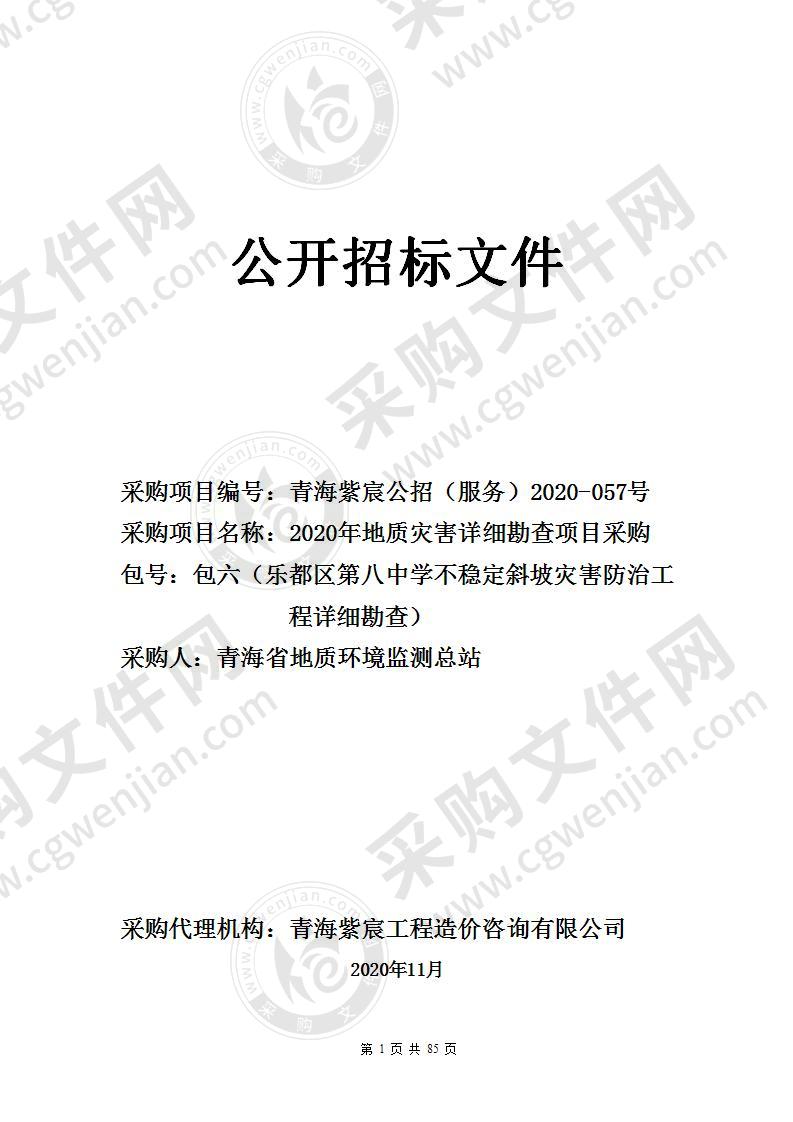 2020年地质灾害详细勘查项目采购（包六（乐都区第八中学不稳定斜坡灾害防治工程详细勘查））