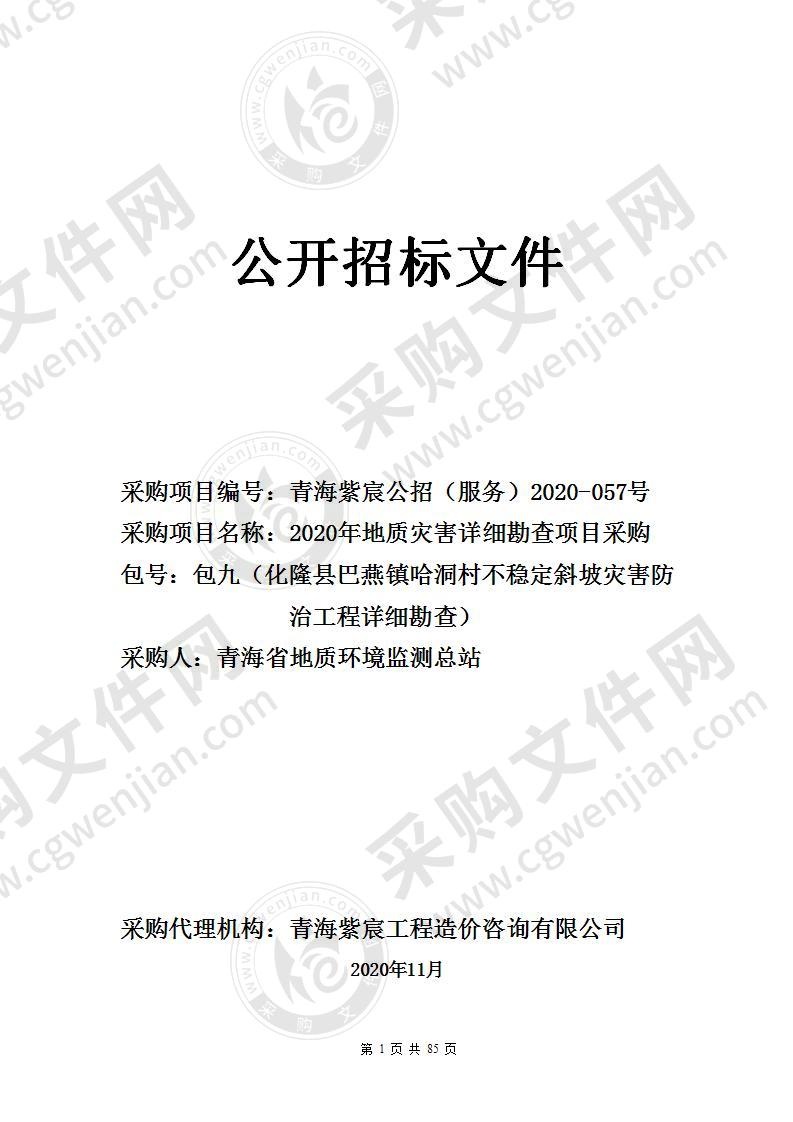 2020年地质灾害详细勘查项目采购（包九（化隆县巴燕镇哈洞村不稳定斜坡灾害防治工程详细勘查））