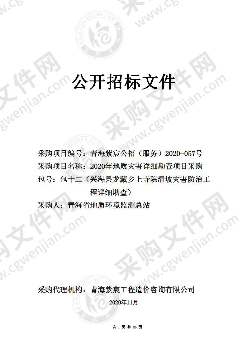 2020年地质灾害详细勘查项目采购（包十二（兴海县龙藏乡上寺院滑坡灾害防治工程详细勘查））