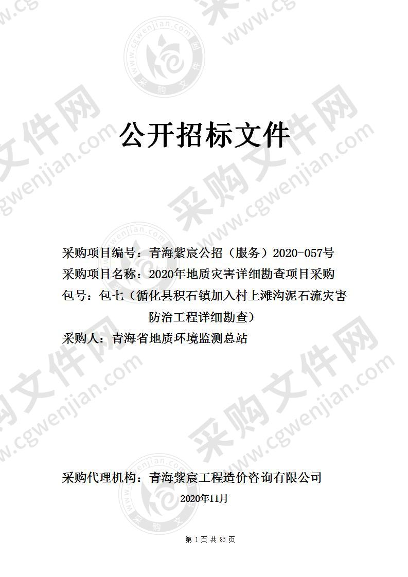 2020年地质灾害详细勘查项目采购（包七（循化县积石镇加入村上滩沟泥石流灾害防治工程详细勘查））