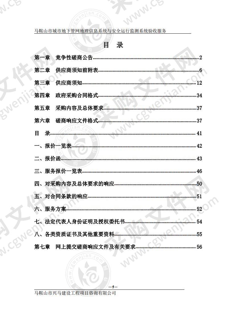 马鞍山市城市地下管网地理信息系统与安全运行监测系统验收服务