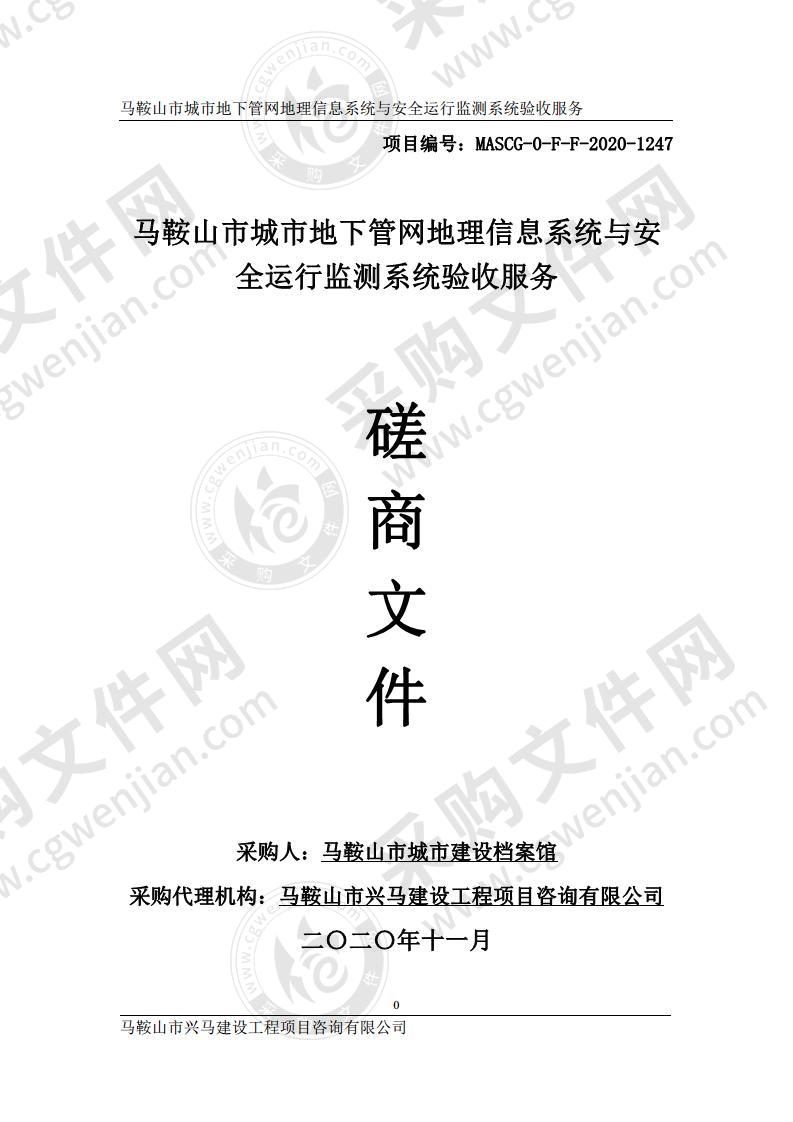 马鞍山市城市地下管网地理信息系统与安全运行监测系统验收服务