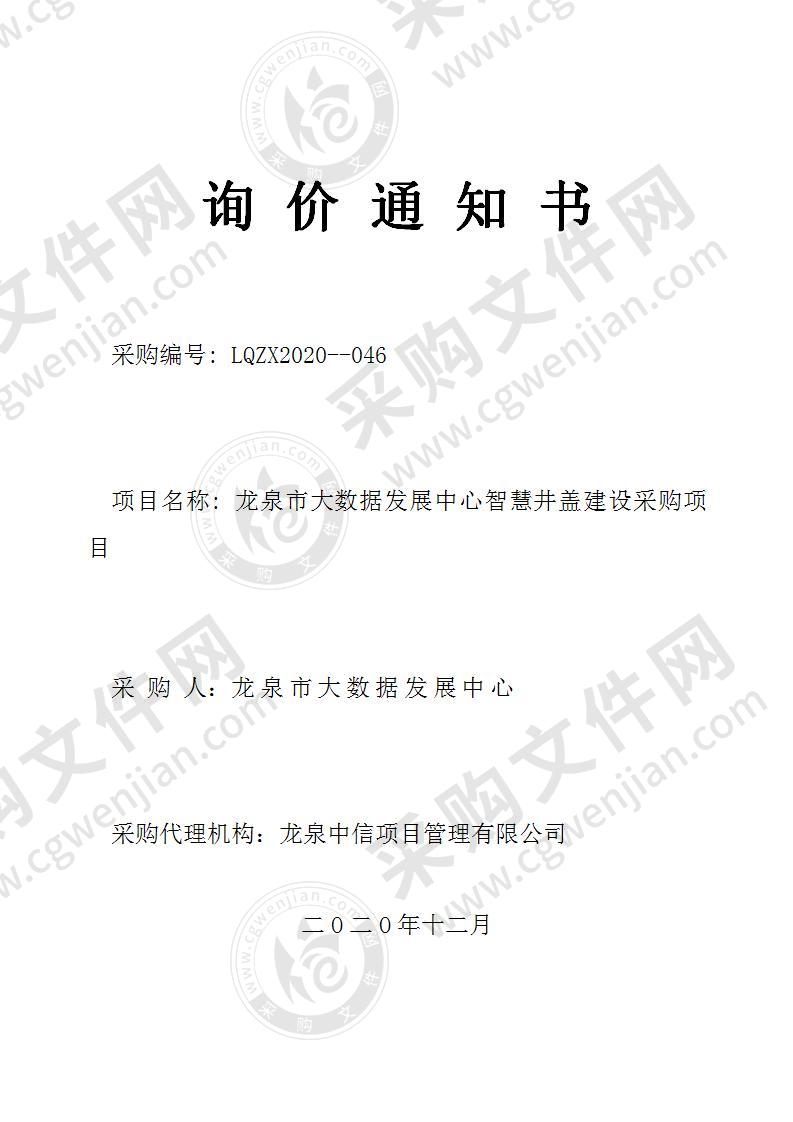 龙泉市大数据发展中心窨井盖感知设备采购项目