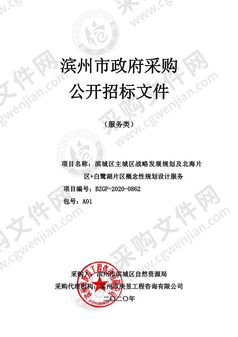 滨城区主城区战略发展规划及北海片区+白鹭湖片区概念性规划设计服务（A01包）