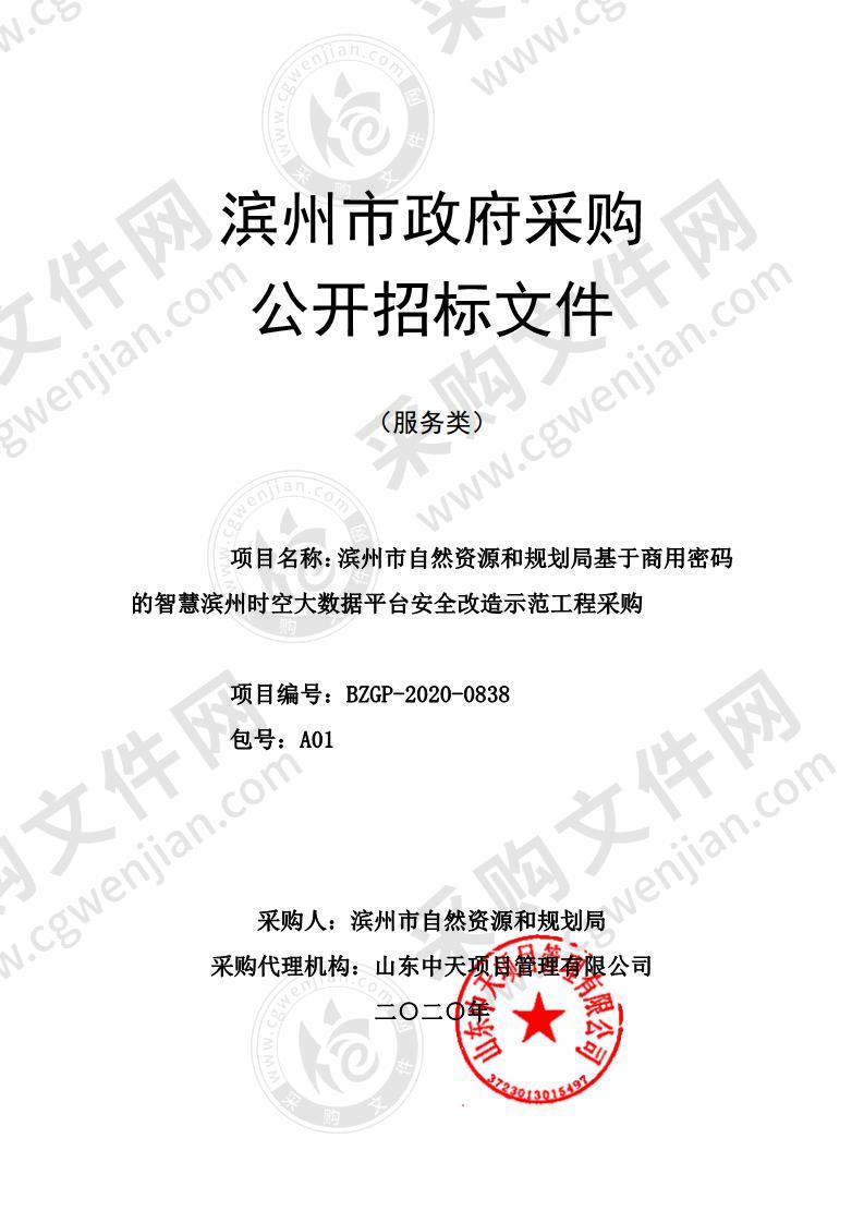 滨州市自然资源和规划局基于商用密码的智慧滨州时空大数据平台安全改造示范工程采购（A01包）