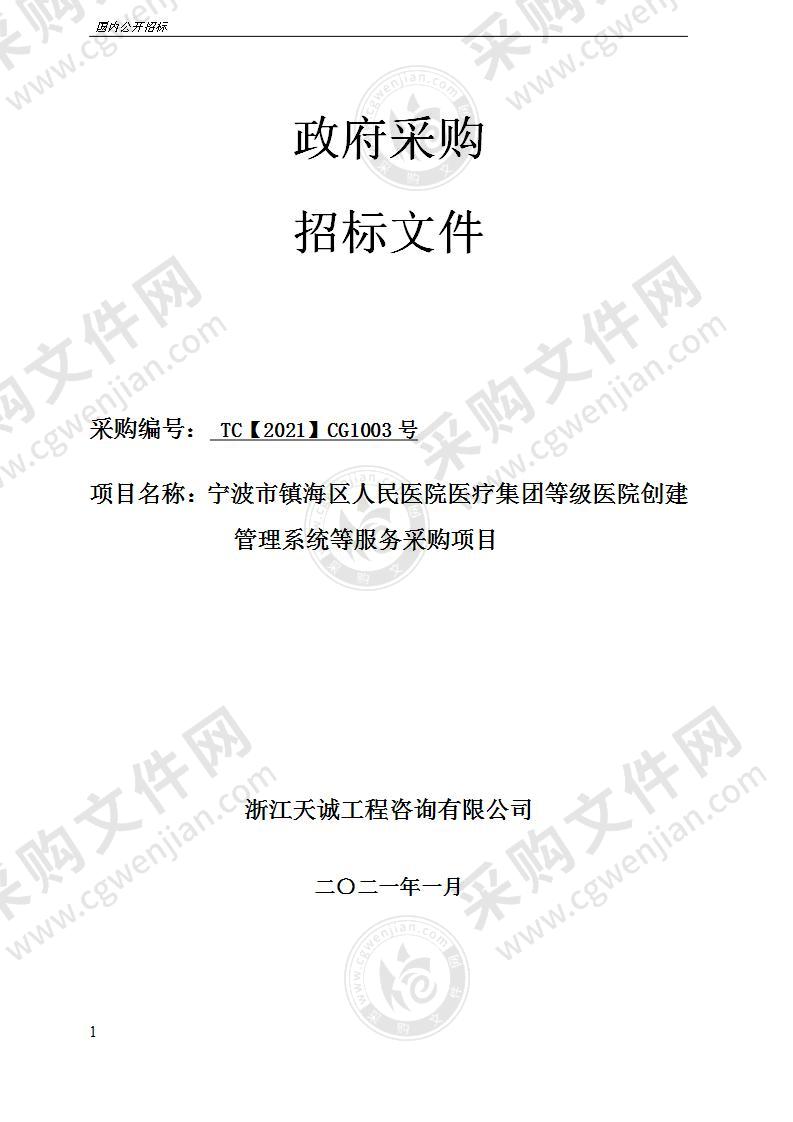 宁波市镇海区人民医院医疗集团等级医院创建管理系统等服务采购项目