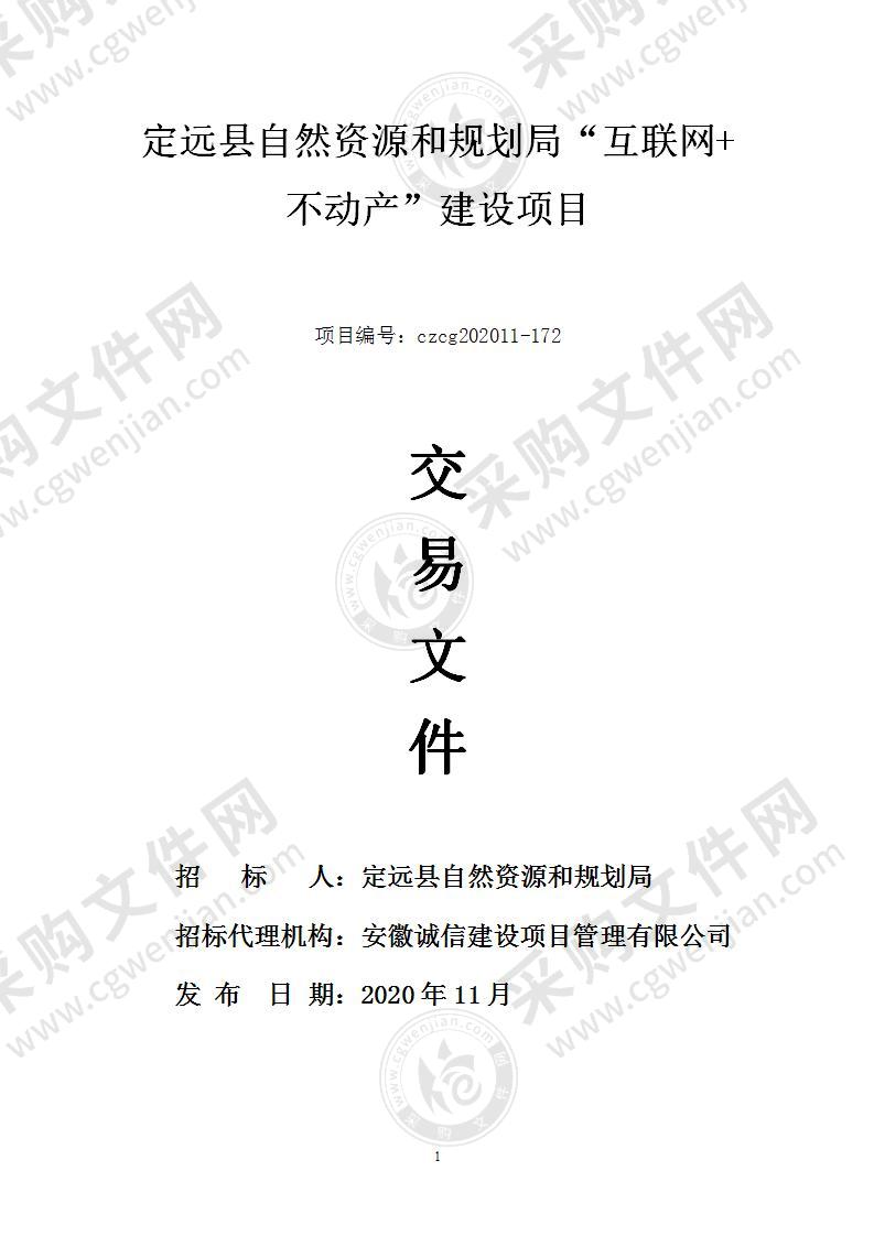 定远县自然资源和规划局“互联网+不动产”建设项目