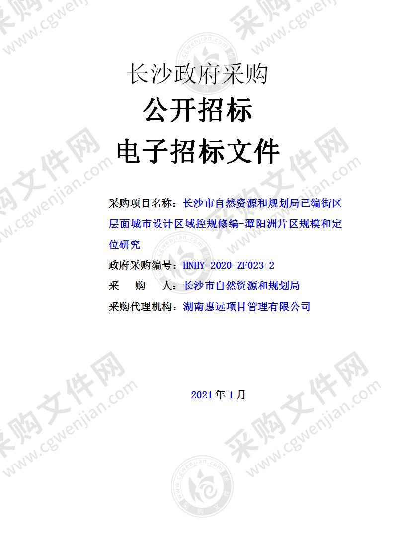 长沙市自然资源和规划局已编街区层面城市设计区域控规修编-潭阳洲片区规模和定位研究