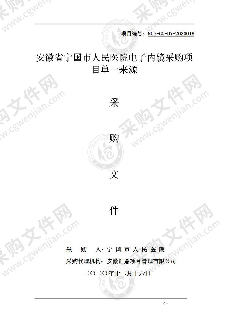 安徽省宁国市人民医院电子内镜采购项目