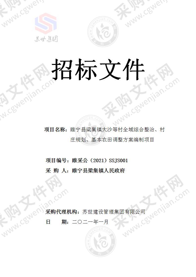 睢宁县梁集镇大沙等村全域综合整治、村庄规划、基本农田调整方案编制项目