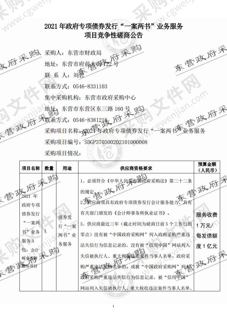 2021年政府专项债券发行“一案两书”业务服务  项目