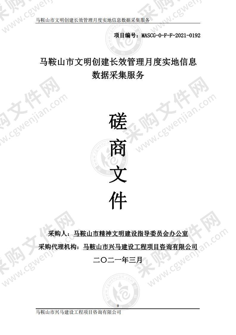 马鞍山市文明创建长效管理月度实地信息数据采集服务