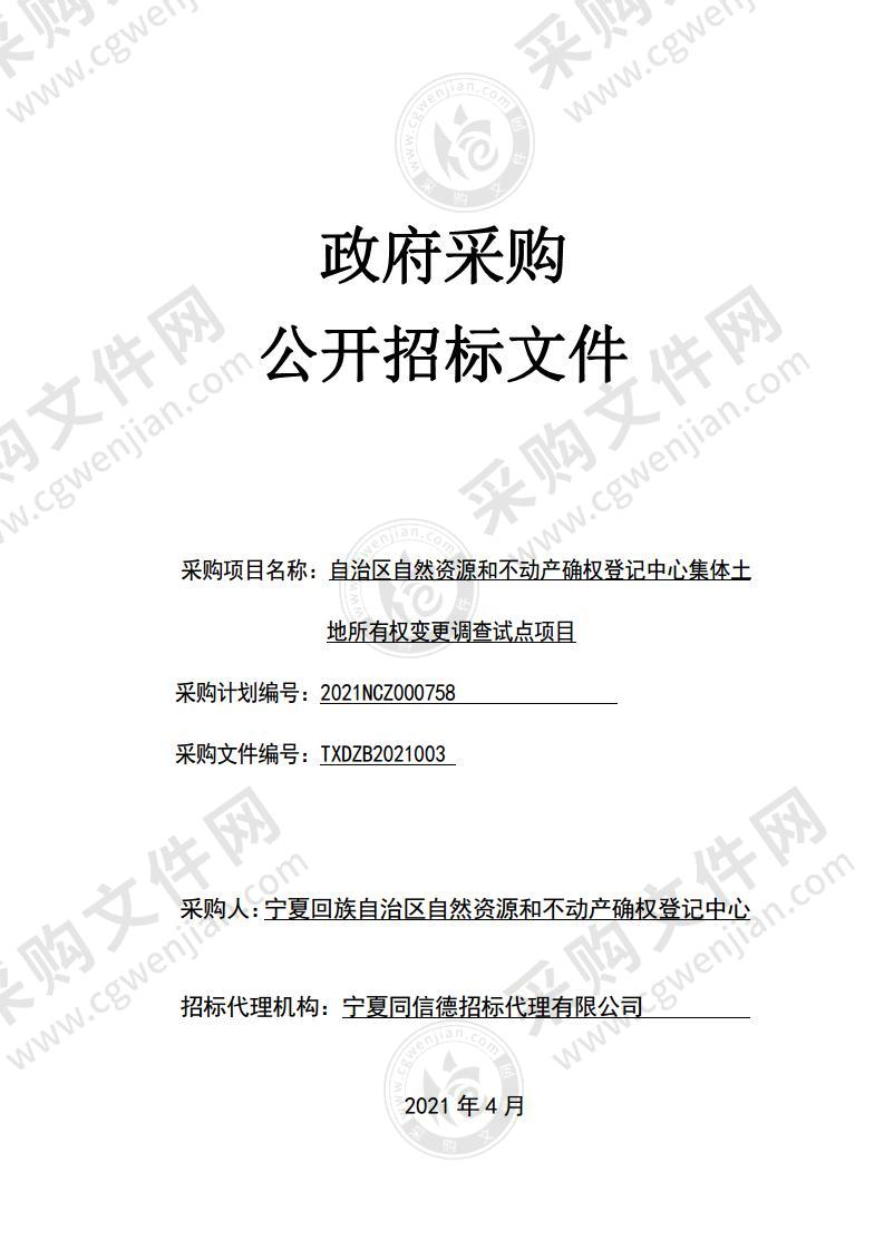 自治区自然资源和不动产确权登记中心集体土地所有权变更调查试点项目