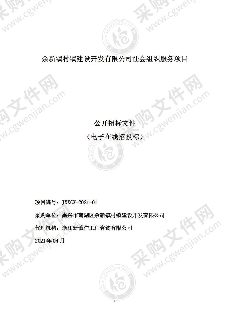 余新镇村镇建设开发有限公司社会组织服务项目