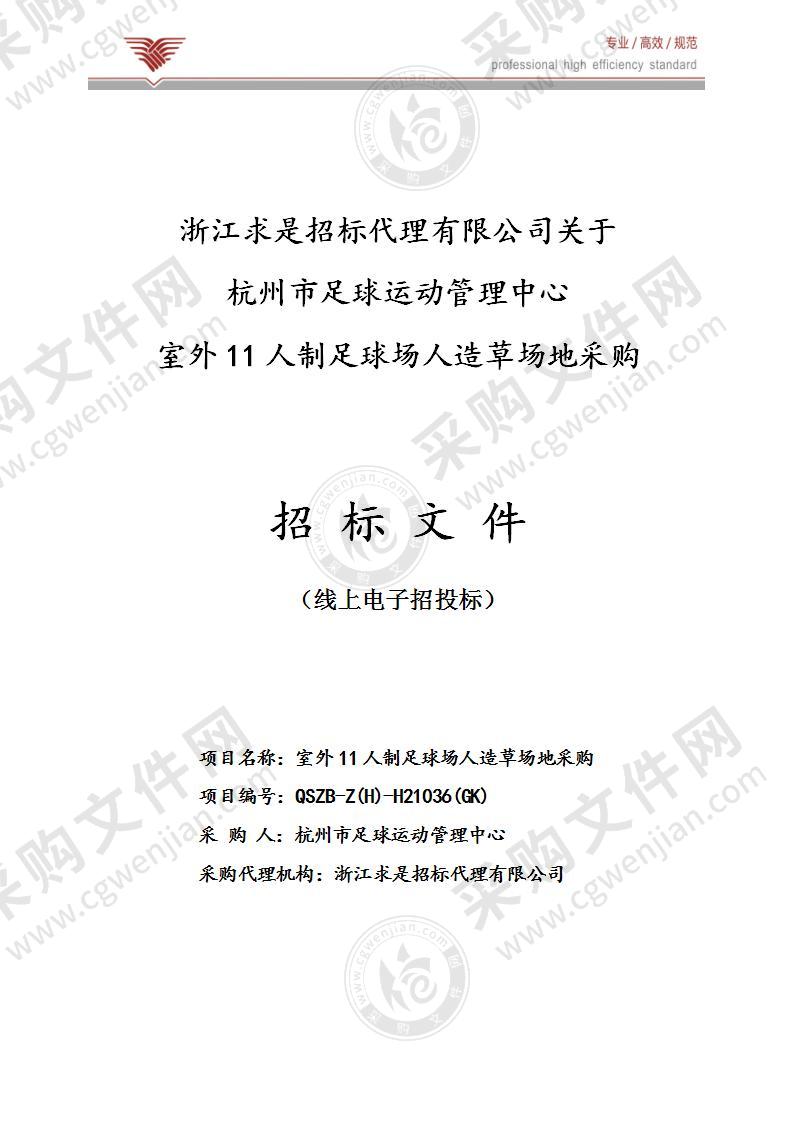 室外11人制足球场人造草场地采购