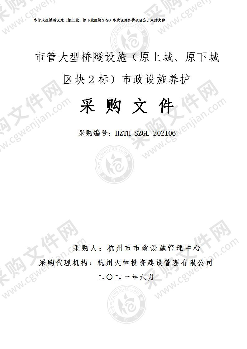 市管大型桥隧设施（原上城、原下城区块2标）市政设施养护