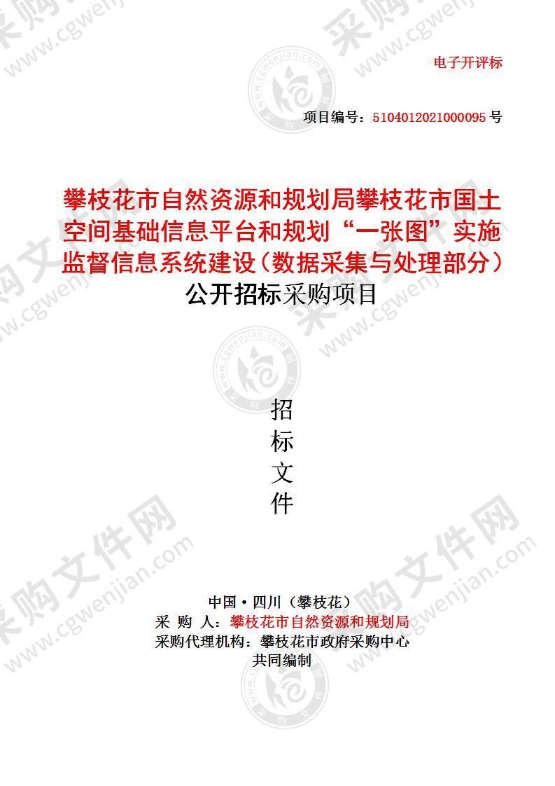 攀枝花市自然资源和规划局攀枝花市国土空间基础信息平台和规划“一张图”实施监督信息系统建设（数据采集与处理部分）