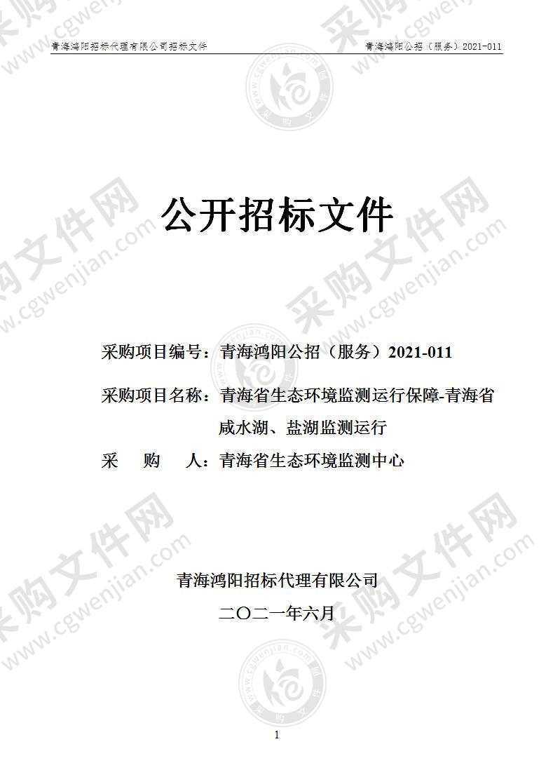 青海省生态环境监测运行保障-青海省咸水湖、盐湖监测运行