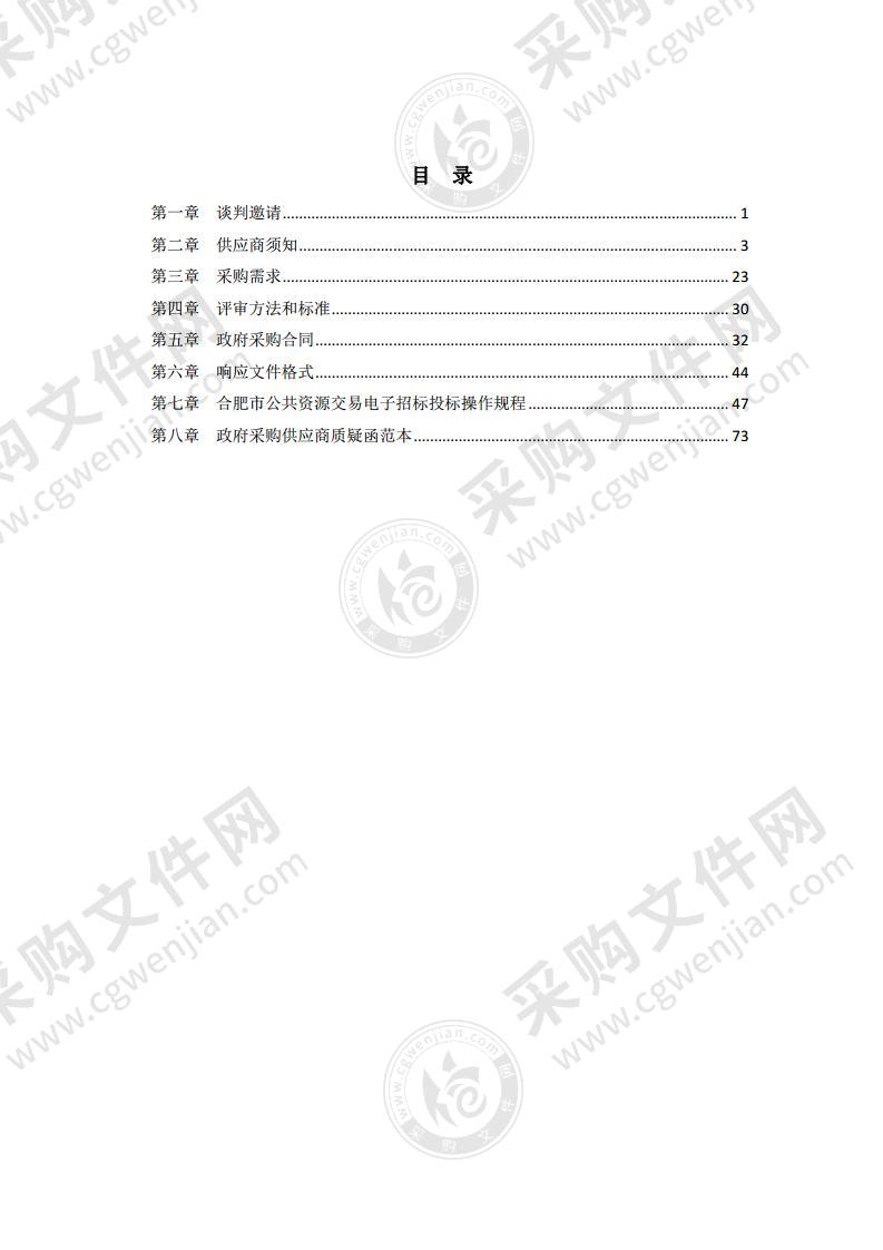 2021-2022年度巢湖市城市桥梁检测服务