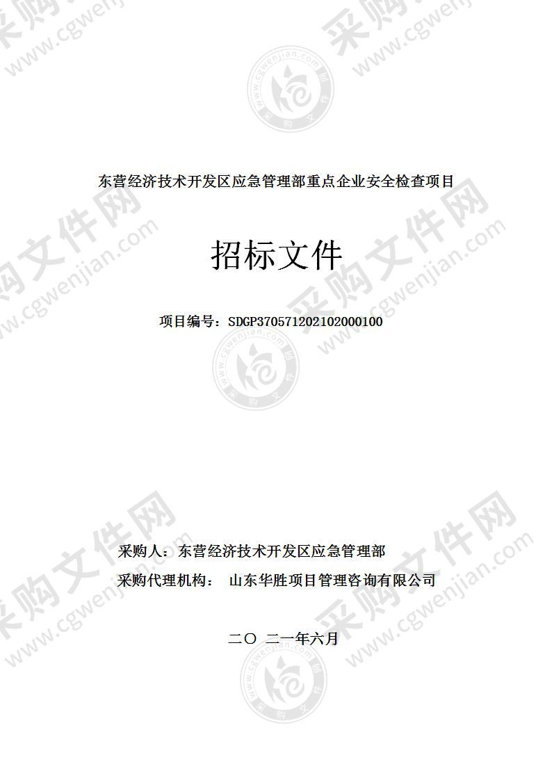 东营经济技术开发区应急管理部重点企业安全检查项目