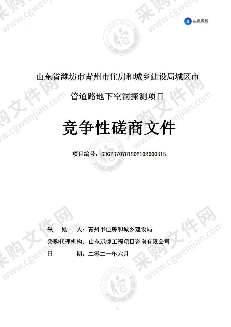 山东省潍坊市青州市住房和城乡建设局城区市管道路地下空洞探测项目