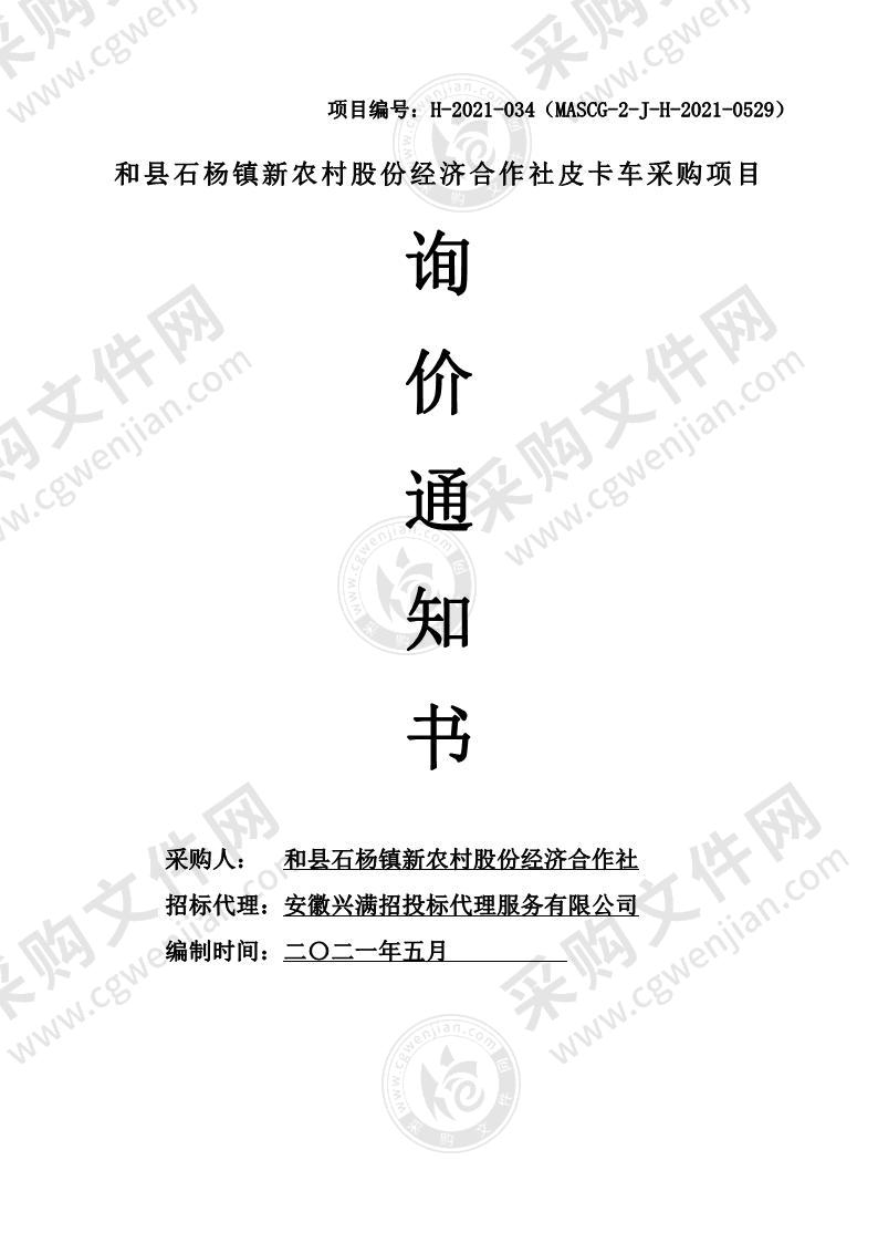 和县石杨镇新农村股份经济合作社皮卡车采购项目