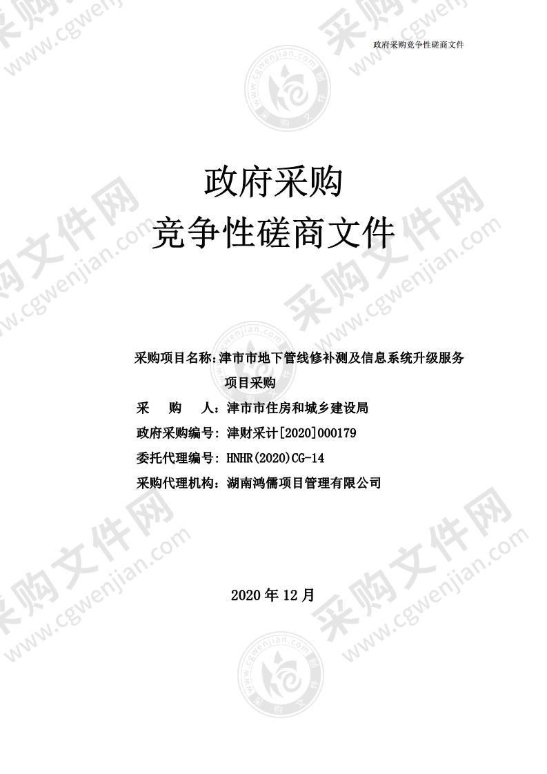 津市市地下管线修补测及信息系统升级服务项目采购