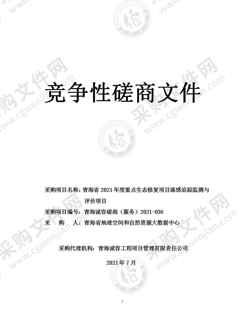 青海省2021年度重点生态修复项目遥感追踪监测与评价项目