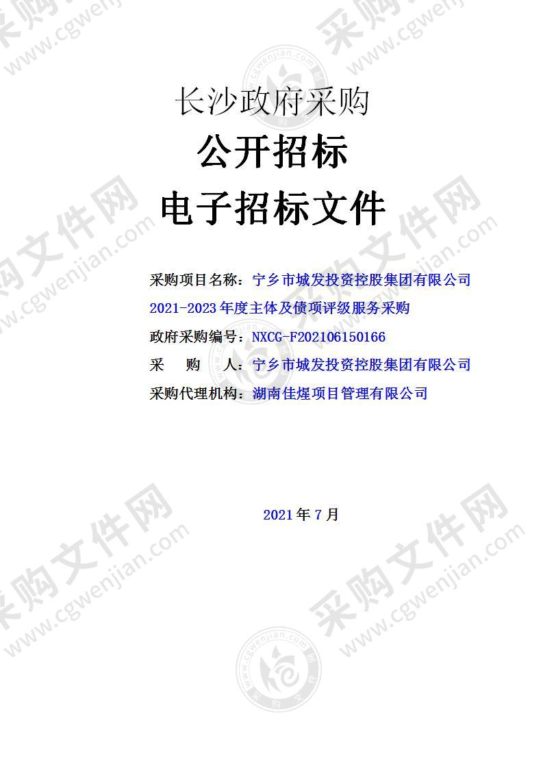 宁乡市城发投资控股集团有限公司2021-2023年度主体及债项评级服务采购