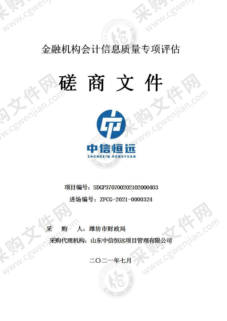 金融机构会计信息质量专项评估