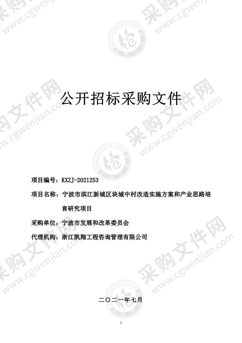 宁波市滨江新城区块城中村改造实施方案和产业思路培育研究项目