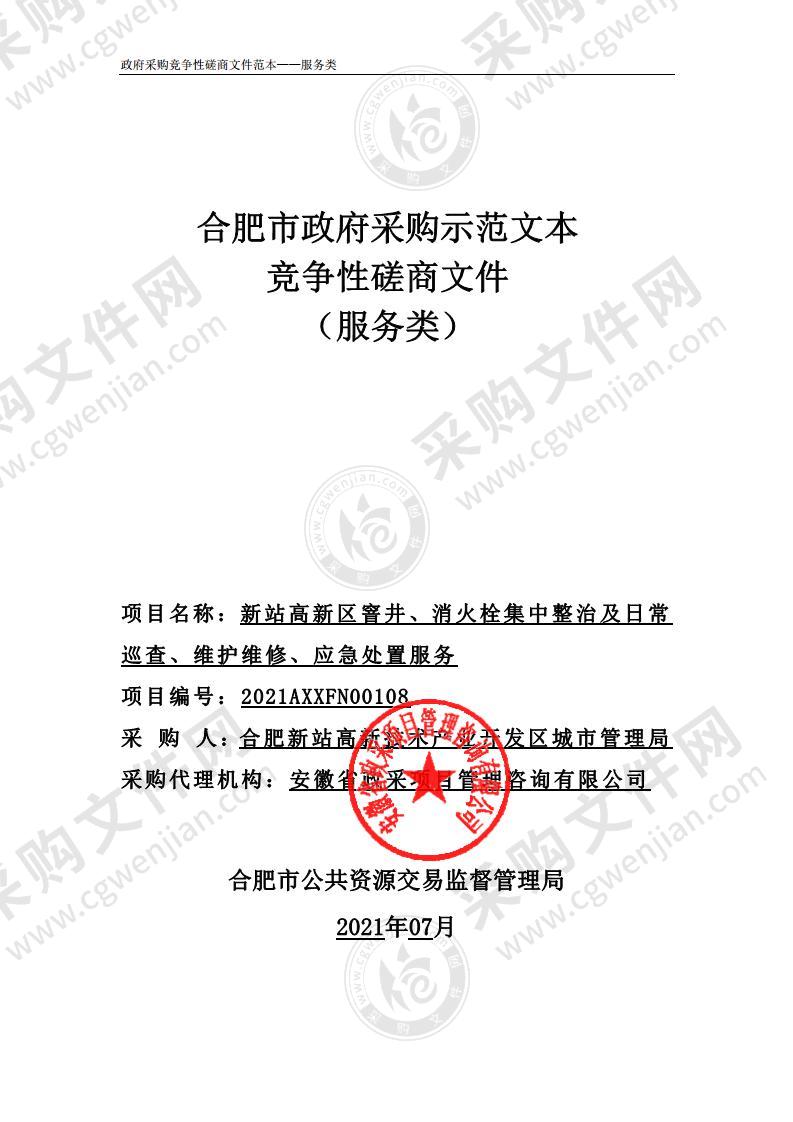 新站高新区窨井、消火栓集中整治及日常巡查、维护维修、应急处置服务