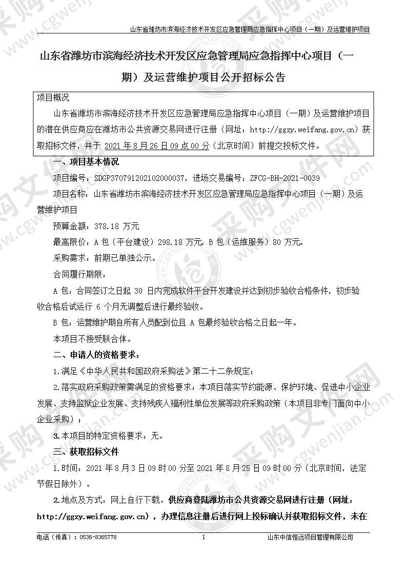 山东省潍坊市滨海经济技术开发区应急管理局应急指挥中心项目（一期）及运营维护项目