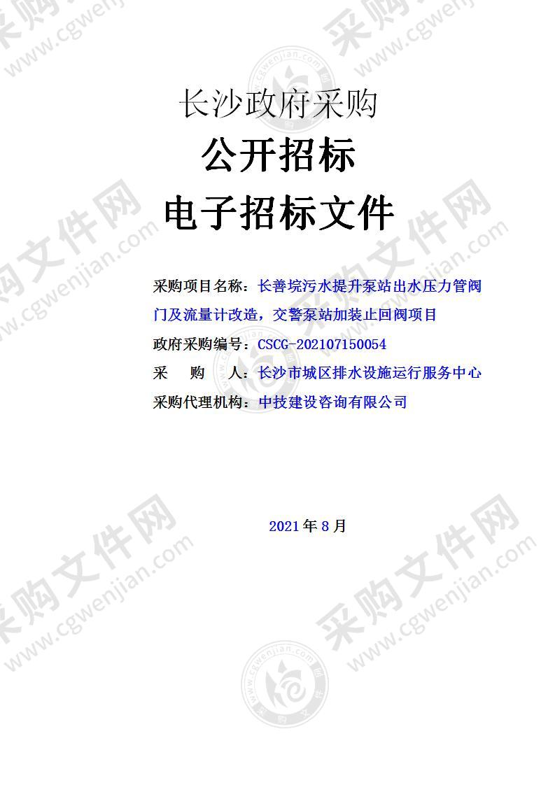 长善垸污水提升泵站出水压力管阀门及流量计改造，交警泵站加装止回阀项目