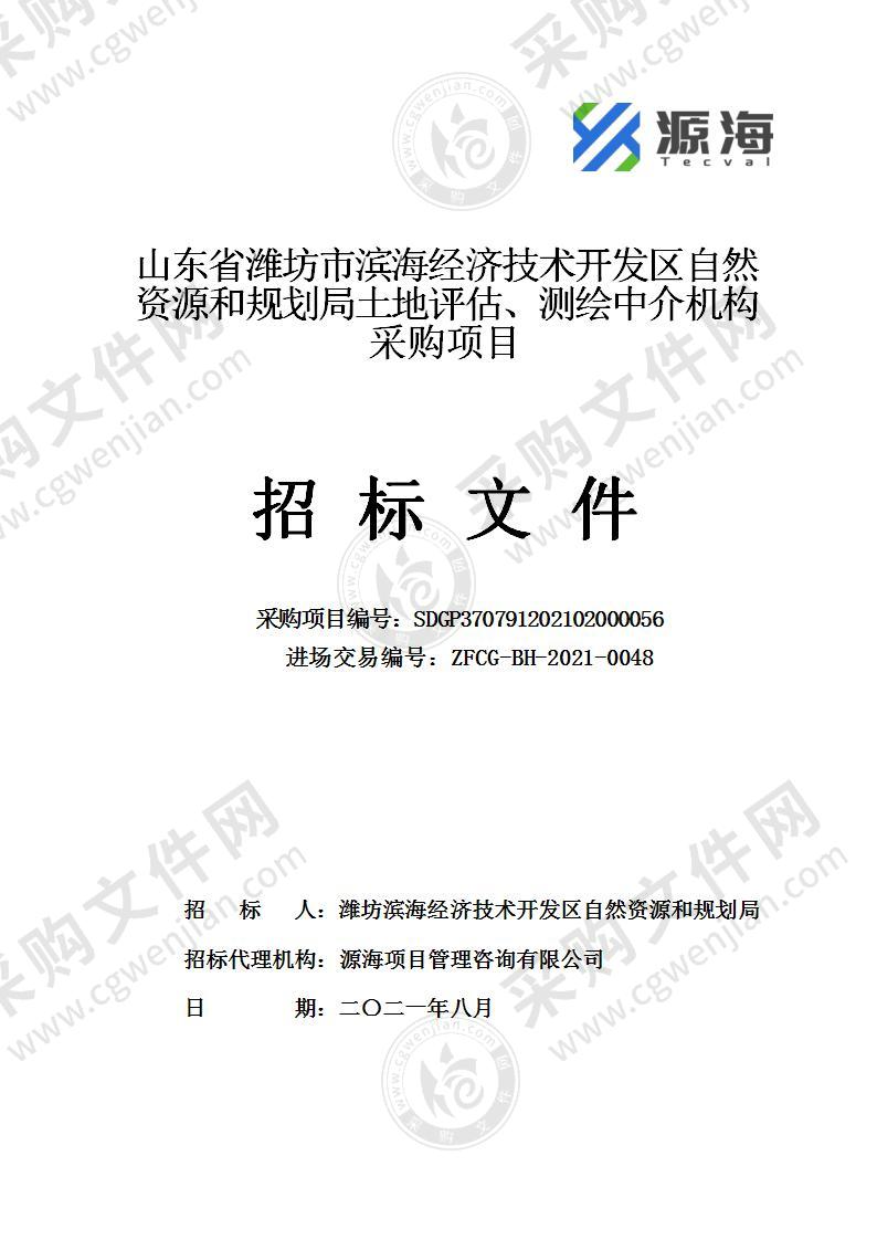 山东省潍坊市滨海经济技术开发区自然资源和规划局土地评估、测绘中介机构采购项目